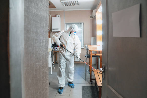 Best Emergency Mold Remediation  in Milton, WV